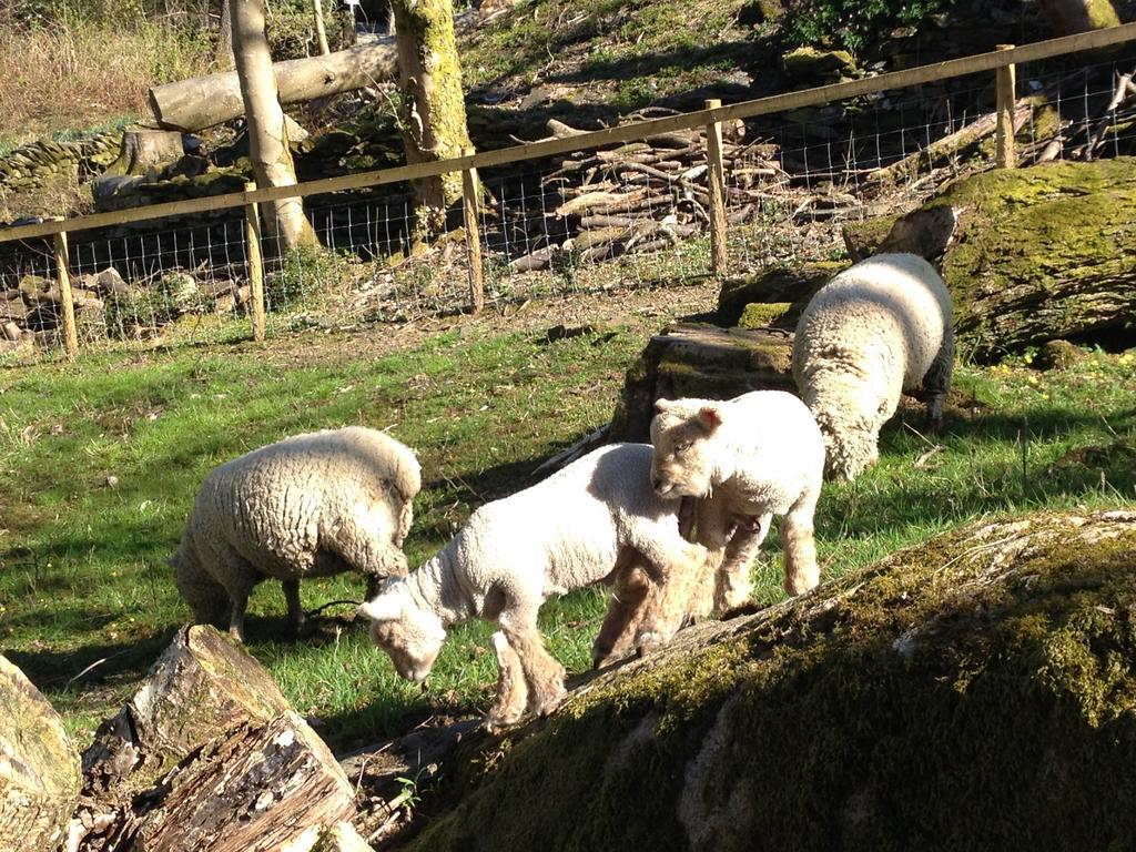 Thorney How Ambleside Eksteriør bilde