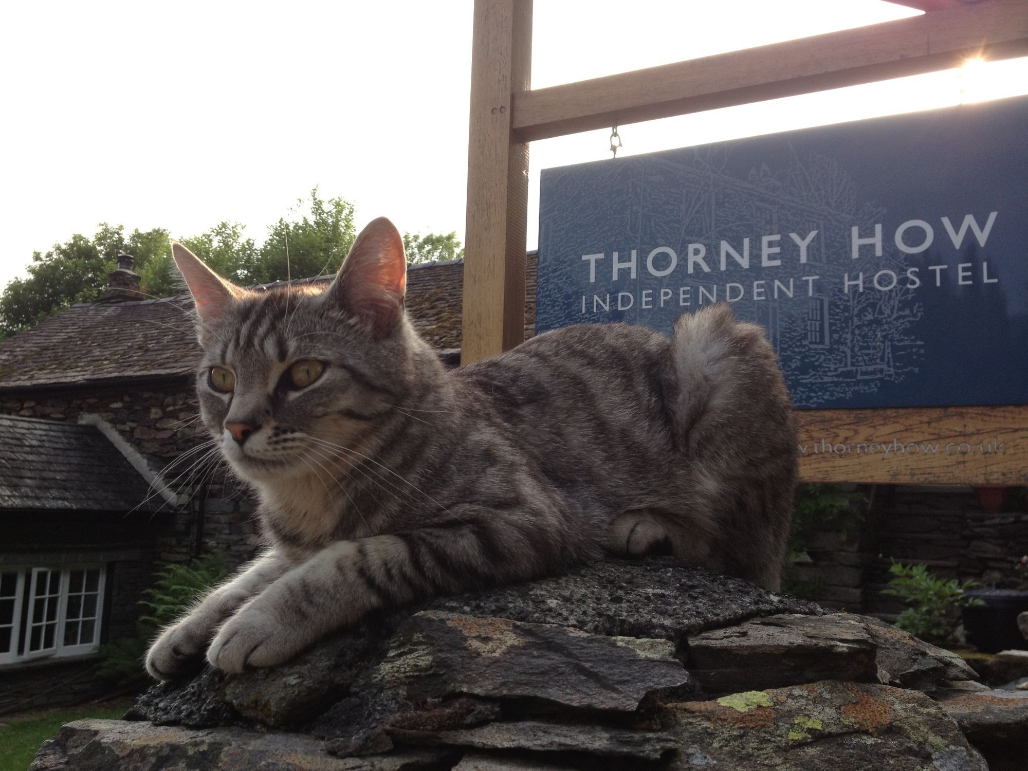 Thorney How Ambleside Eksteriør bilde
