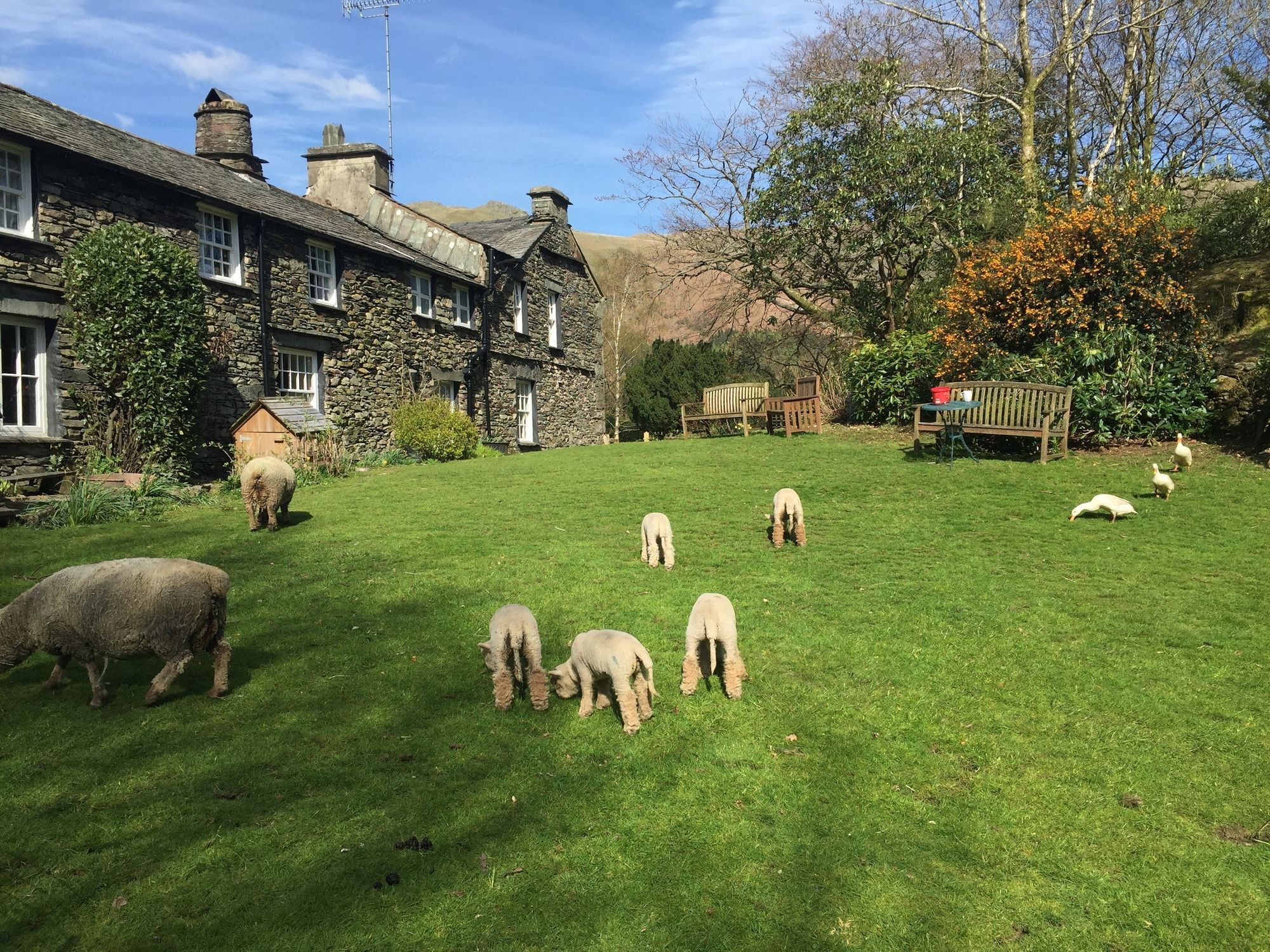Thorney How Ambleside Eksteriør bilde